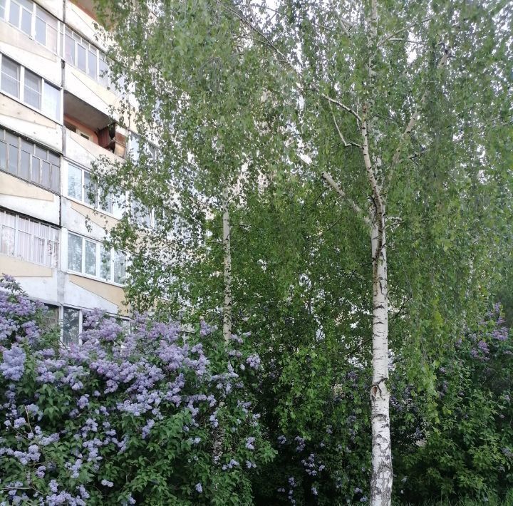 квартира г Йошкар-Ола ул Вознесенская 36 фото 27
