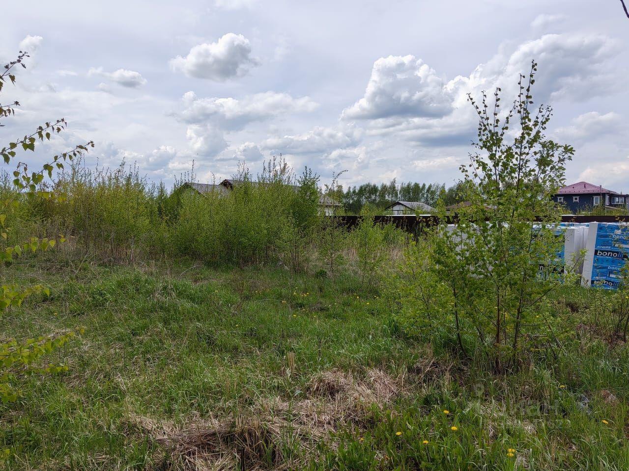 земля г Истра Корсат дп, Нахабино фото 1