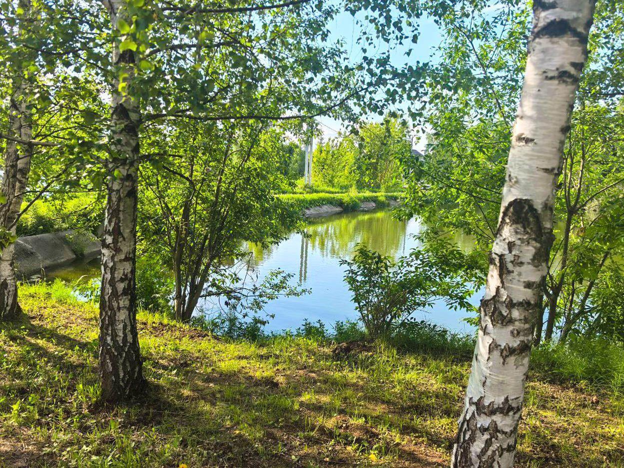 земля г Домодедово д Косино фото 5