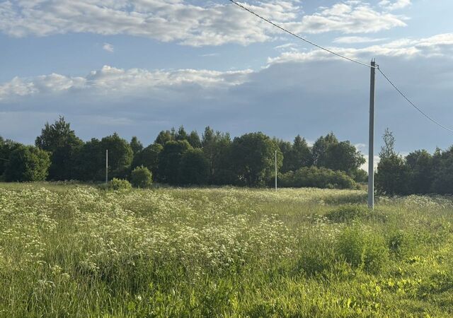 116 км, Новорижское шоссе фото