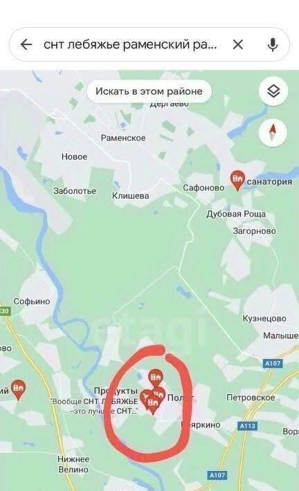 земля г Раменское снт Лебяжье ул Полевая ТСН, Ипподром, Раменский муниципальный округ фото 3