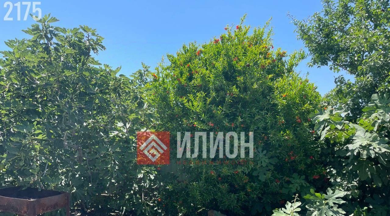 дом г Судак ул Манджил 20 фото 3