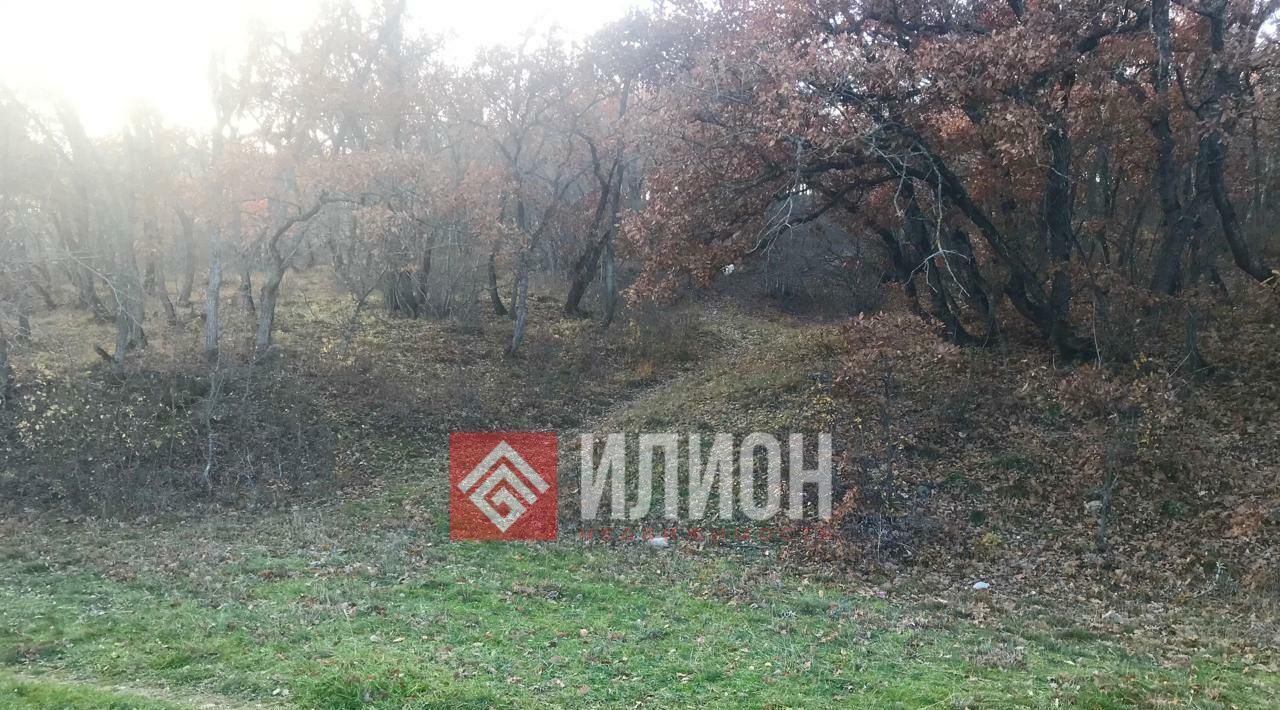 земля г Феодосия пгт Щебетовка Щебетовка фото 4