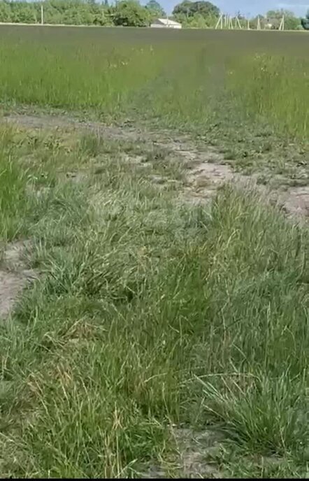 земля р-н Зеленоградский г Зеленоградск СНТ Рощино-Калининград фото 2