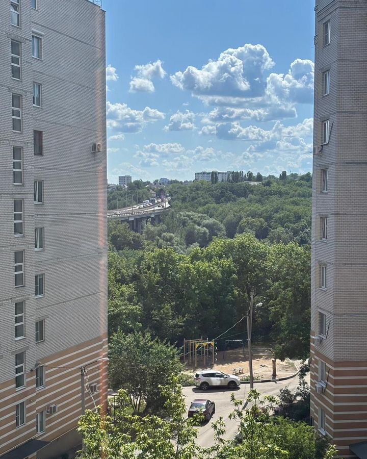 квартира г Воронеж р-н Центральный ул Березовая роща 4а ЖК «Легенда Парк» фото 8