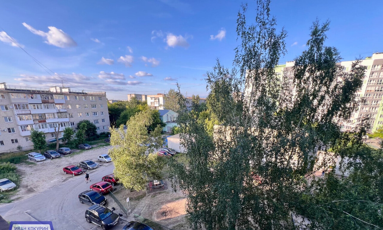 квартира г Дзержинск Прибрежный ул Попова 28б фото 13