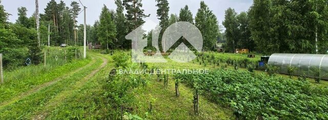 снт Вера Барышевский сельсовет, Речной Вокзал фото