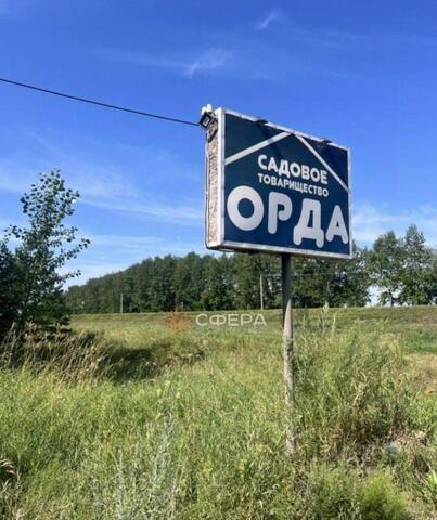 Новошарапский сельсовет, Боча. Там всё занято фото