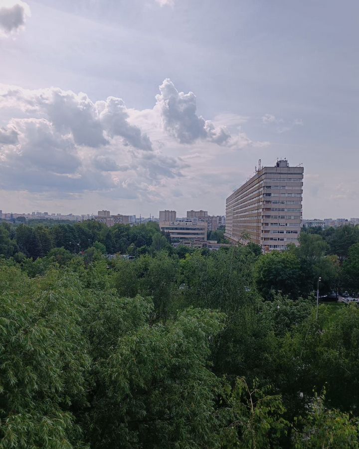 квартира г Москва метро Царицыно ул Бакинская 23 фото 9
