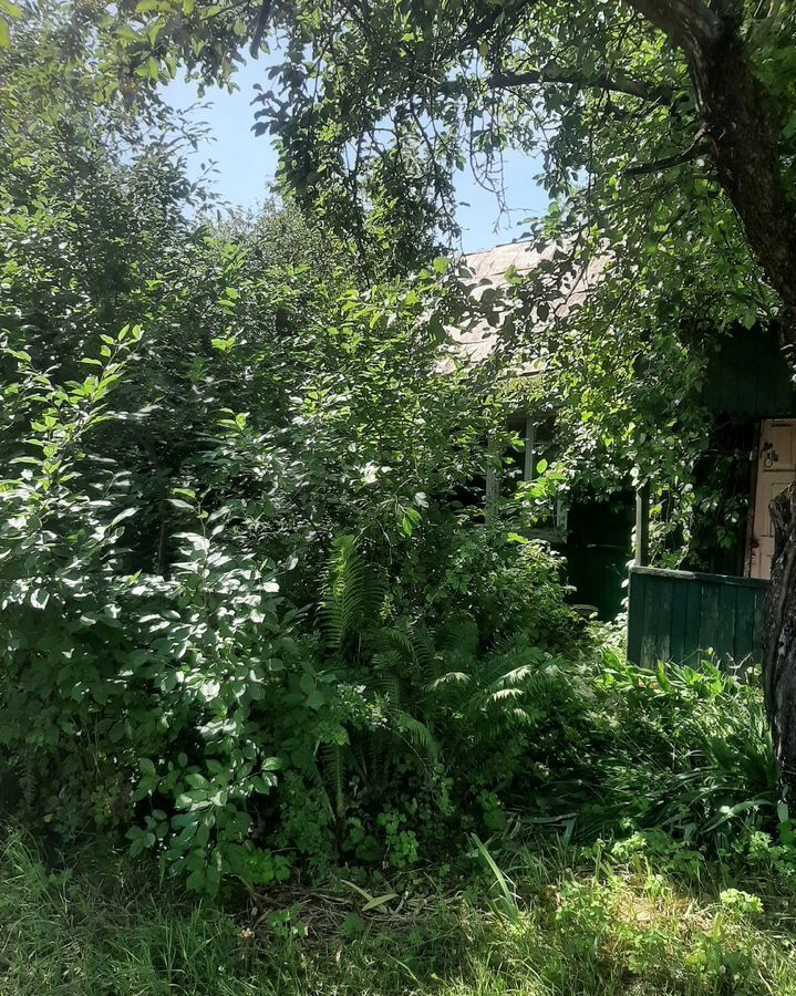 земля г Брянск рп Радица-Крыловка Бежицкий район садоводческое общество Природа, 39 фото 6