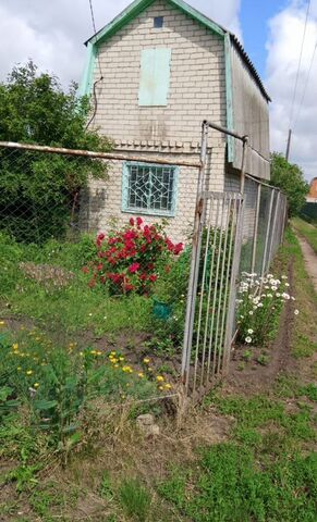 г Новомичуринск Новомичуринское городское поселение фото