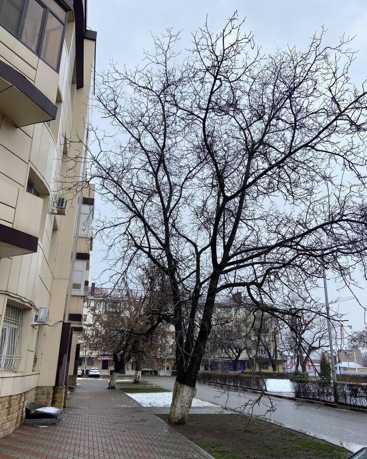 квартира г Грозный ул. Хамзата У. Орзамиева, 1 фото 2