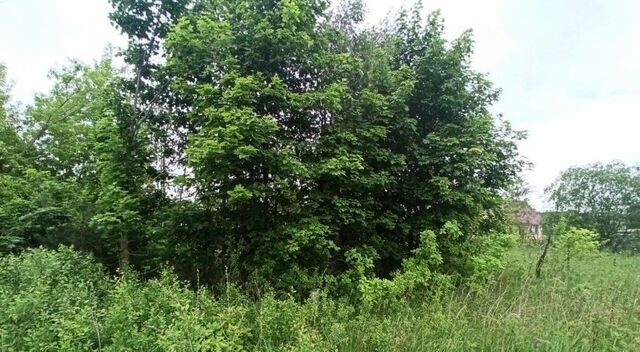 офис ул Белопесоцкая фото