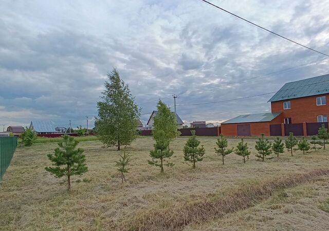 земля снт Марьинка 52 км, 185, Раменский муниципальный округ, Бронницы, Рязанское шоссе фото