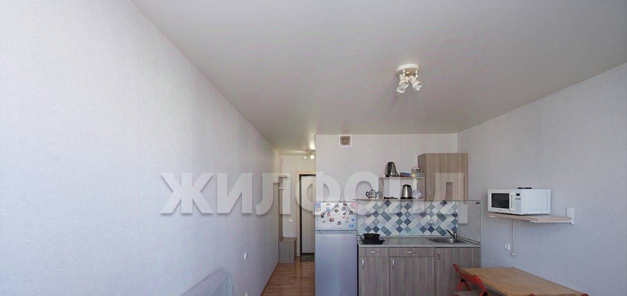 квартира г Новосибирск ул Виктора Уса 9 Площадь Маркса фото 1
