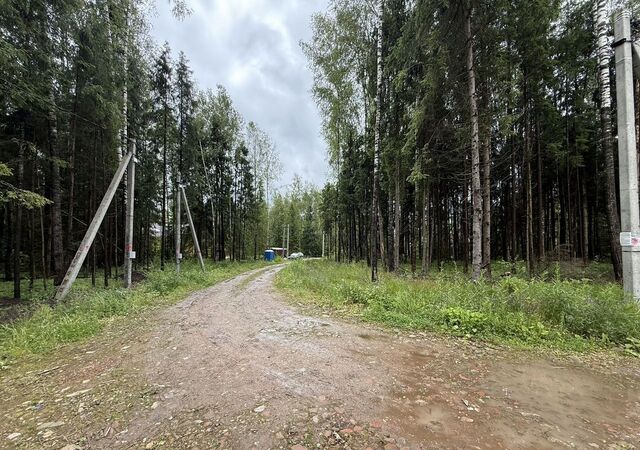 38 км, коттеджный пос. Гжельский лес, Егорьевское шоссе фото