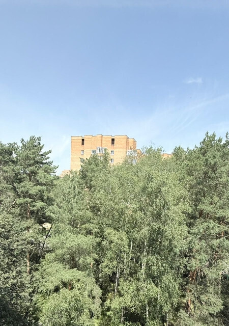 квартира г Протвино ул Гагарина 12 фото 3