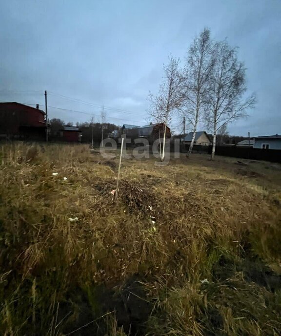 земля г Домодедово д Голубино фото 1