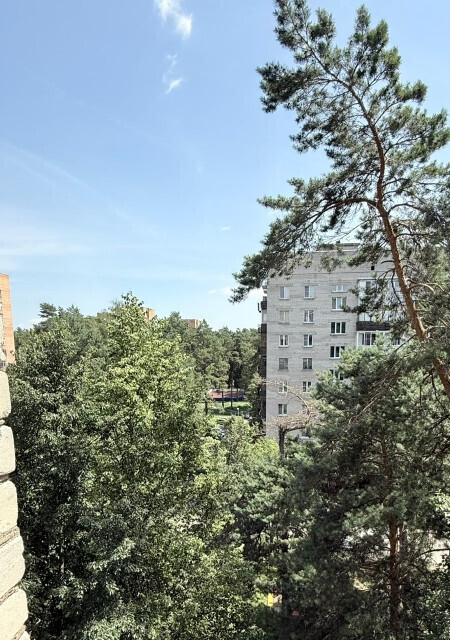 квартира г Протвино ул Гагарина 12 фото 13
