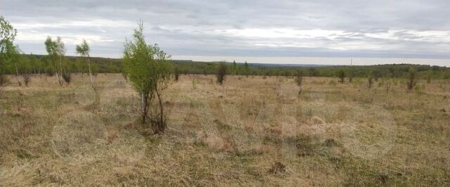 р-н Алексинский д Большое Шелепино Алексин городской округ фото р-н Алексинский д Большое Шелепино Алексин городской округ фото