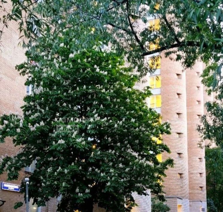 квартира г Москва метро Нахимовский проспект пр-кт Нахимовский 22 муниципальный округ Котловка фото 25