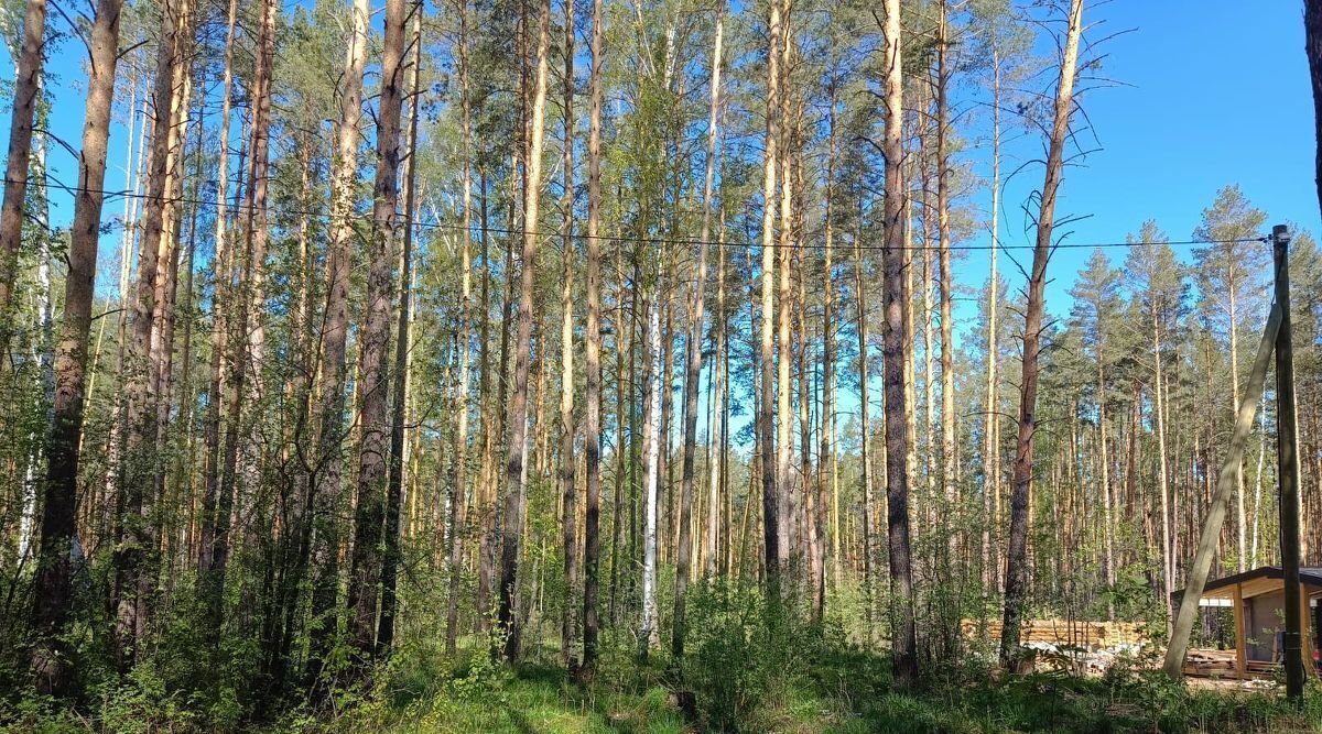 земля г Заречный д Гагарка ул Ленина фото 1