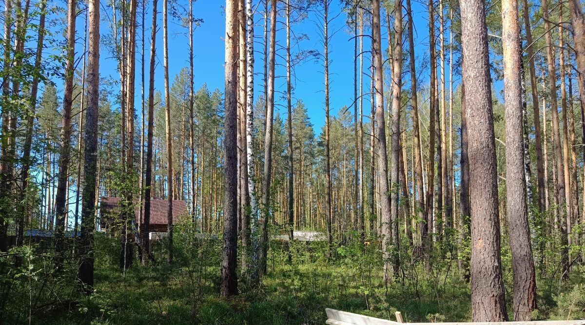 земля г Заречный д Гагарка ул Ленина фото 4
