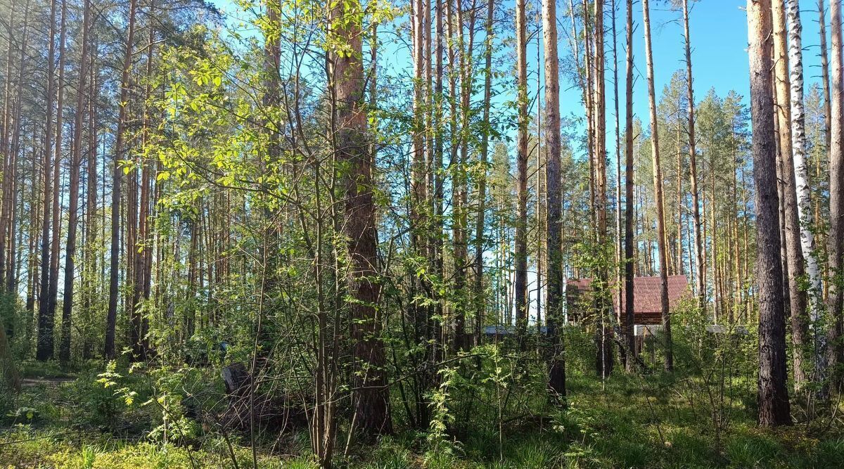 земля г Заречный д Гагарка ул Ленина фото 3
