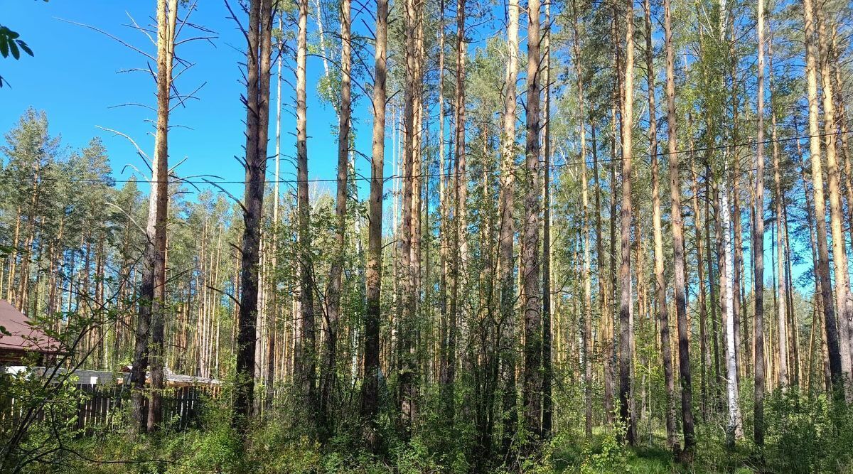 земля г Заречный д Гагарка ул Ленина фото 2
