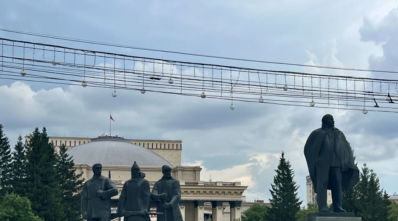 квартира г Новосибирск метро Площадь Гарина-Михайловского р-н Железнодорожный ул Дмитрия Шамшурина 1 фото 31