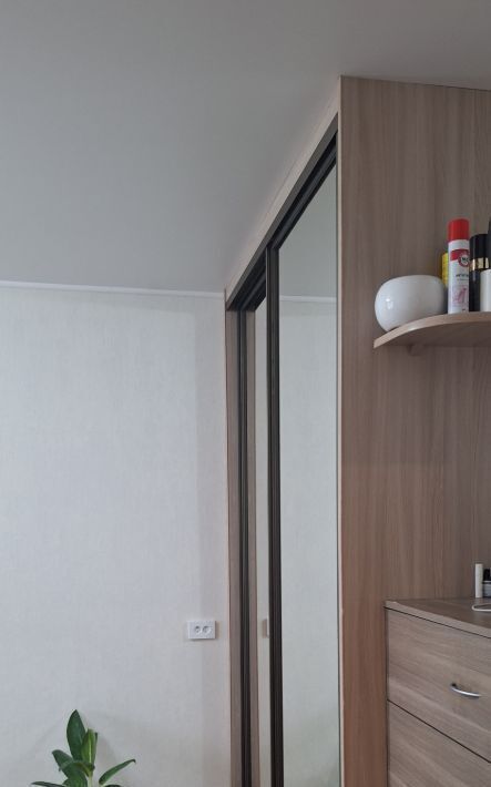 квартира г Омск р-н Октябрьский ул 3-я Молодежная 77 Октябрьский АО фото 4