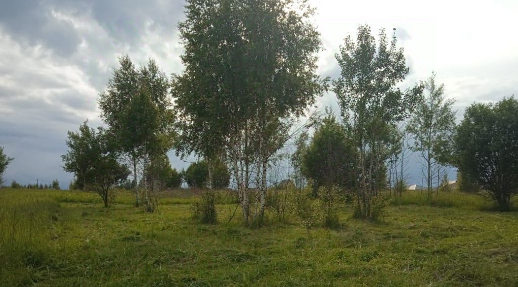 земля р-н Нерехтский г Нерехта ул Егорьевская 14 городское поселение Нерехта фото 6