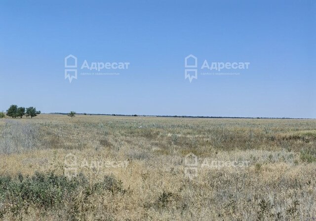 р-н Советский ул Венгерская фото