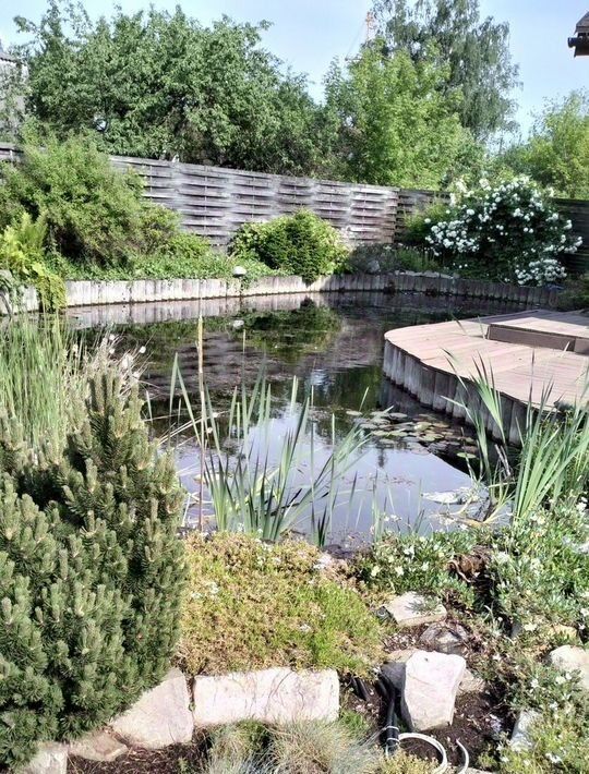земля г Тверь р-н Центральный ул Достоевского 27 фото 3