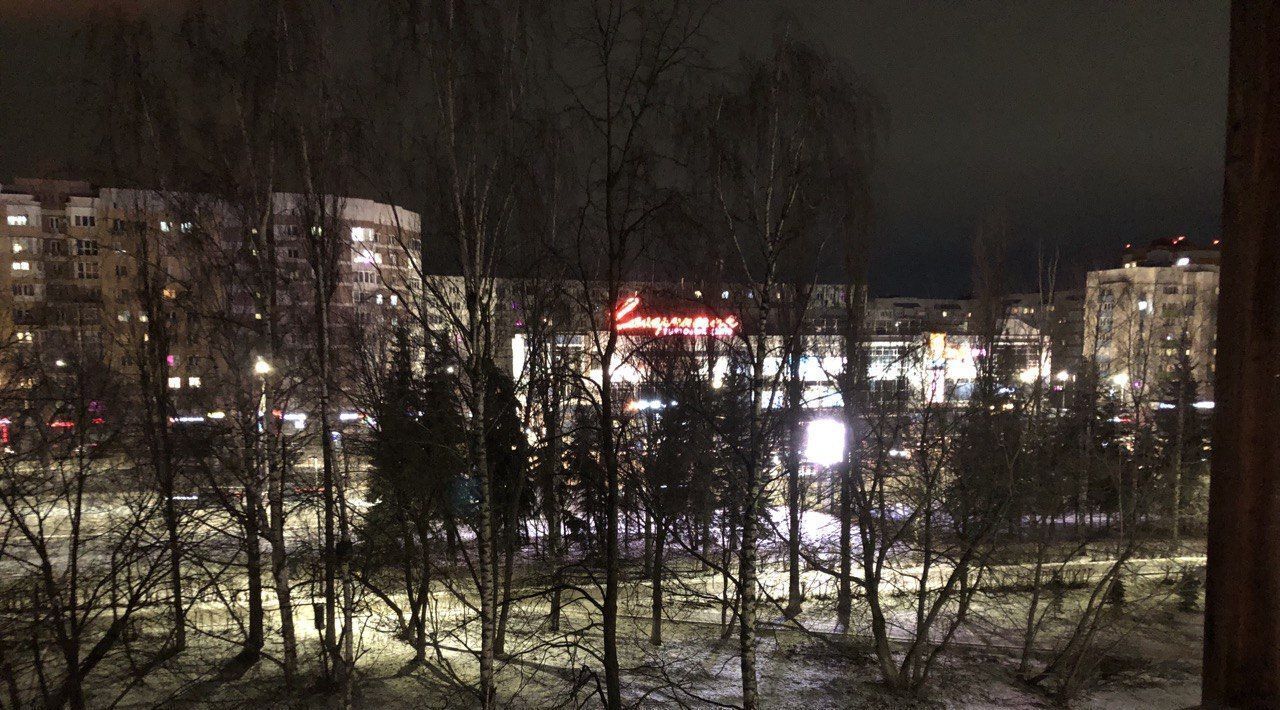 квартира г Нижний Новгород р-н Приокский Пролетарская пр-кт Гагарина 210 Щербинки 2 фото 8