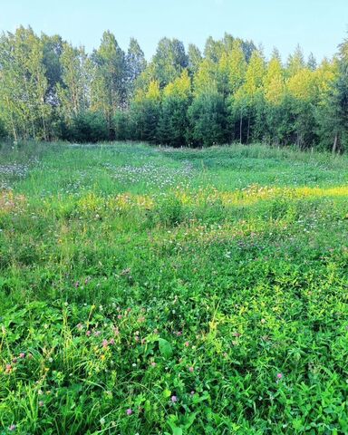 ул Пушкина муниципальное образование Березники, Березники фото