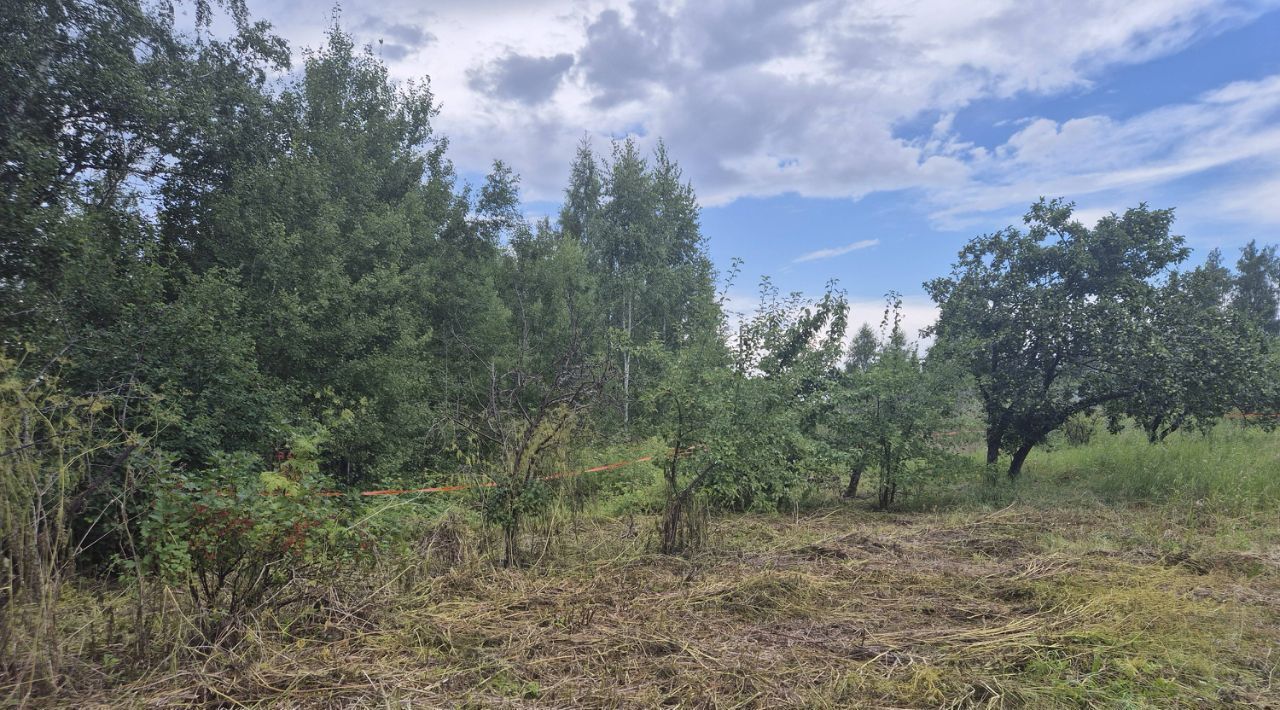 земля г Копейск снт Березка-4 фото 6