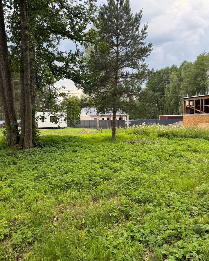 земля городской округ Богородский г Электроугли 26 км, зона Южный, 4, Носовихинское шоссе фото 2