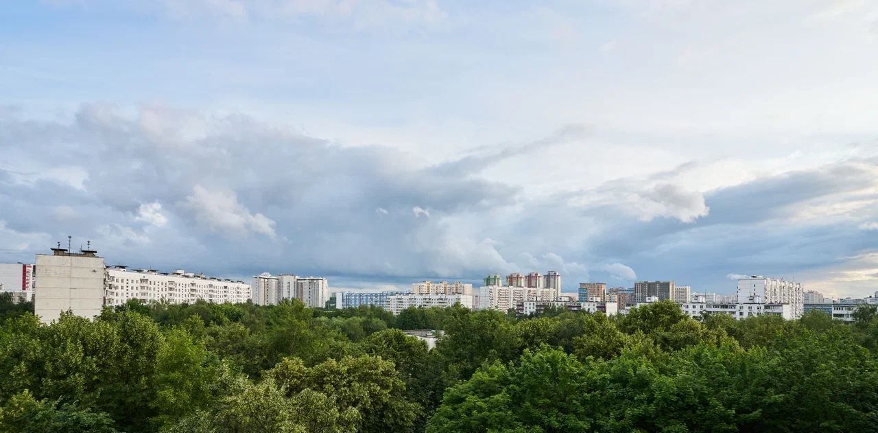 квартира г Москва метро Юго-Западная ул 26-ти Бакинских Комиссаров 3к/1 муниципальный округ Тропарёво-Никулино фото 38