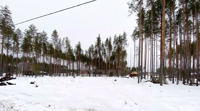 пгт Краснозатонский ул Линейная фото