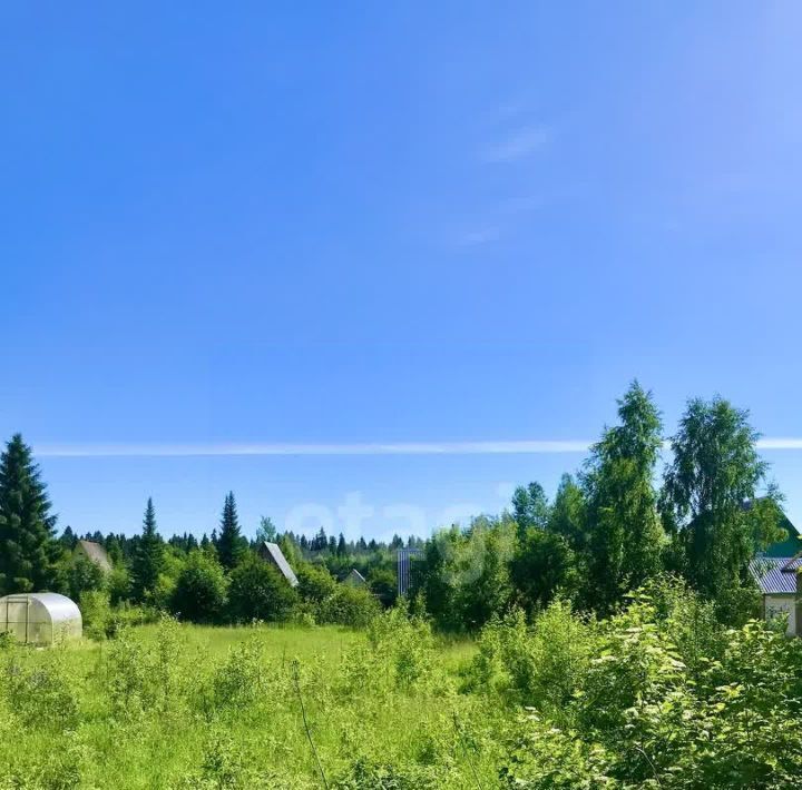 земля г Сыктывкар Эжвинский Ромашка СНТ, проезд 1-й фото 5