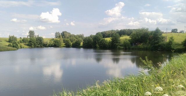 ул Запрудная 11 Ишеевское городское поселение, Ундоры фото