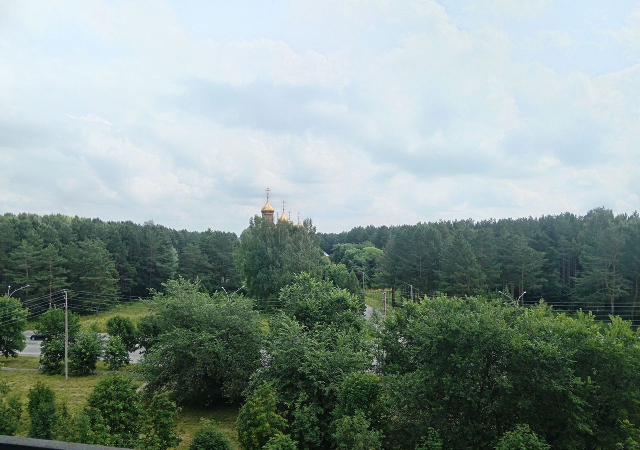 квартира г Прокопьевск р-н Рудничный мкр-н Тырган, 10-й мкр-н, 16А фото 12
