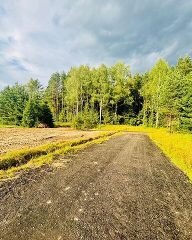 83 км, коттеджный пос. Решетниково, 147, г. о. Клин, Ленинградское шоссе фото