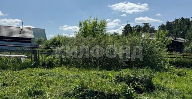 р-н Первомайский ул Пихтовая Бердское шоссе фото