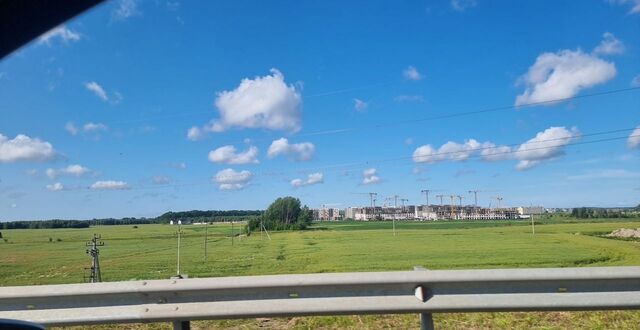 территория СНТ Дубки-1 фото