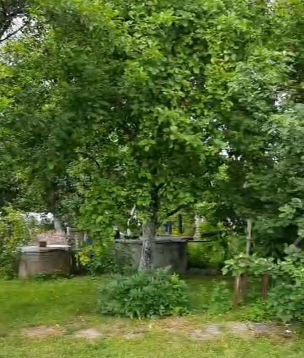 дом г Калининград р-н Ленинградский снт Чайка ул Ягодная фото 4