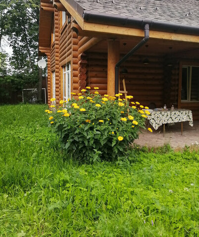 дом п Московский снт Мир метро Говорово 3с 1 фото