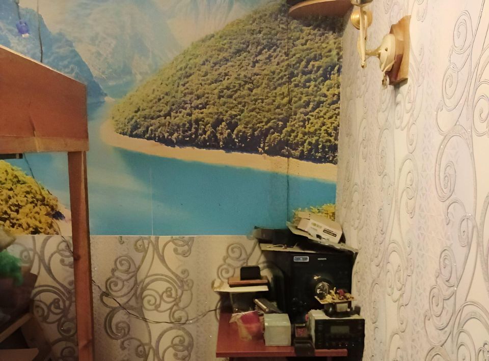дом г Омск р-н Центральный ул 3-я Амурская 42 пос. Амурский фото 8