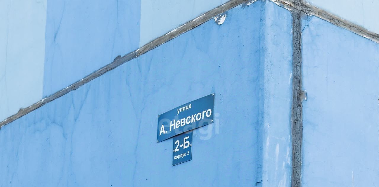 квартира г Ульяновск р-н Засвияжский ул Александра Невского 2бк/3 фото 40